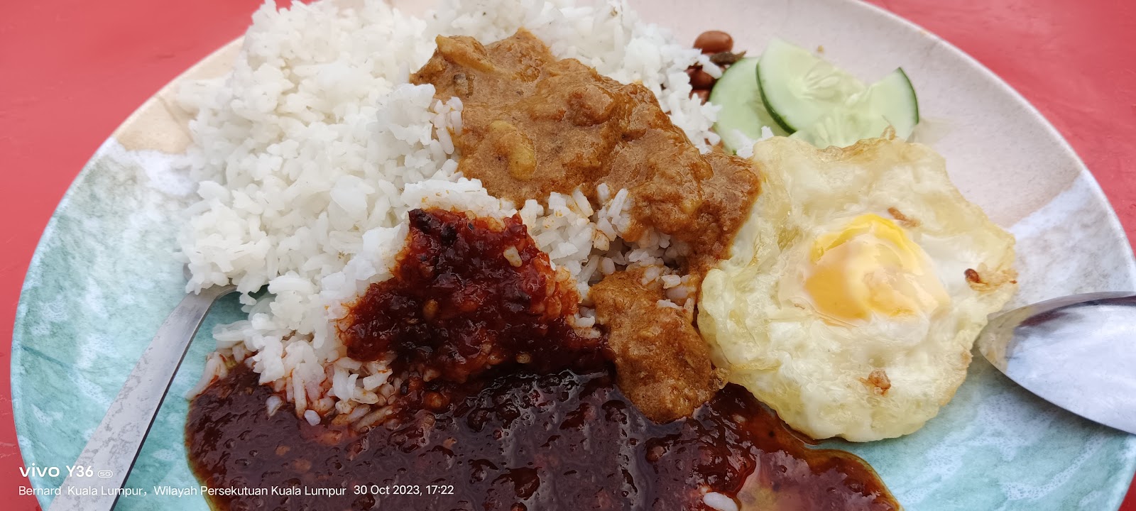 BRAISED PORK LEG RICE